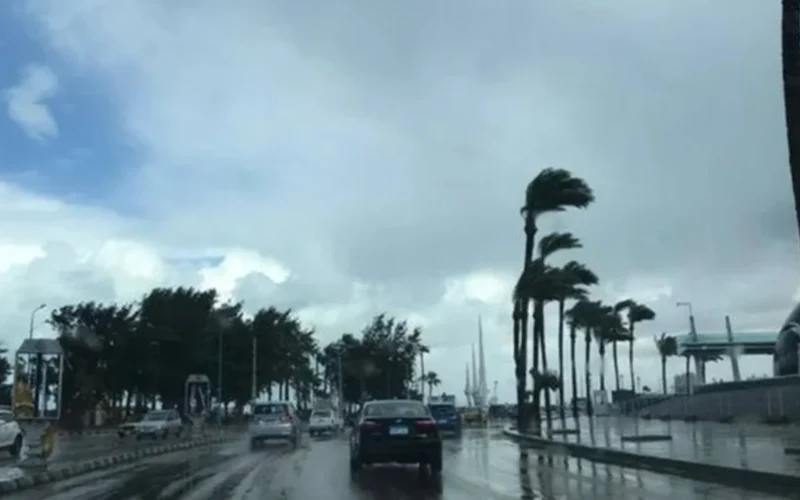 الأرصاد تحذر من عاصفة رملية تقترب من الحدود المصرية مصحوبة بسقوط أمطار